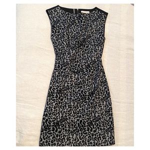Leopard Print Dress